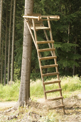 Echelle daffût pour arbre Chevreuil H. 4m00