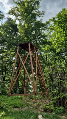 Support de mirador H. 5m00 avec échelle (compatible avec toutes les cabines miradors)