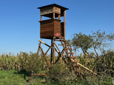 Kit de fermeture et de tablettes pour cabine Mirador Forêt