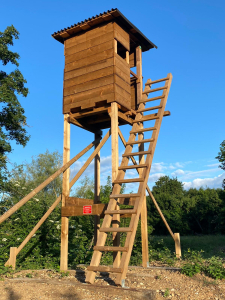 Chevron en bois brut sapin/épicéa traité autoclave brun 500x10x10 cm